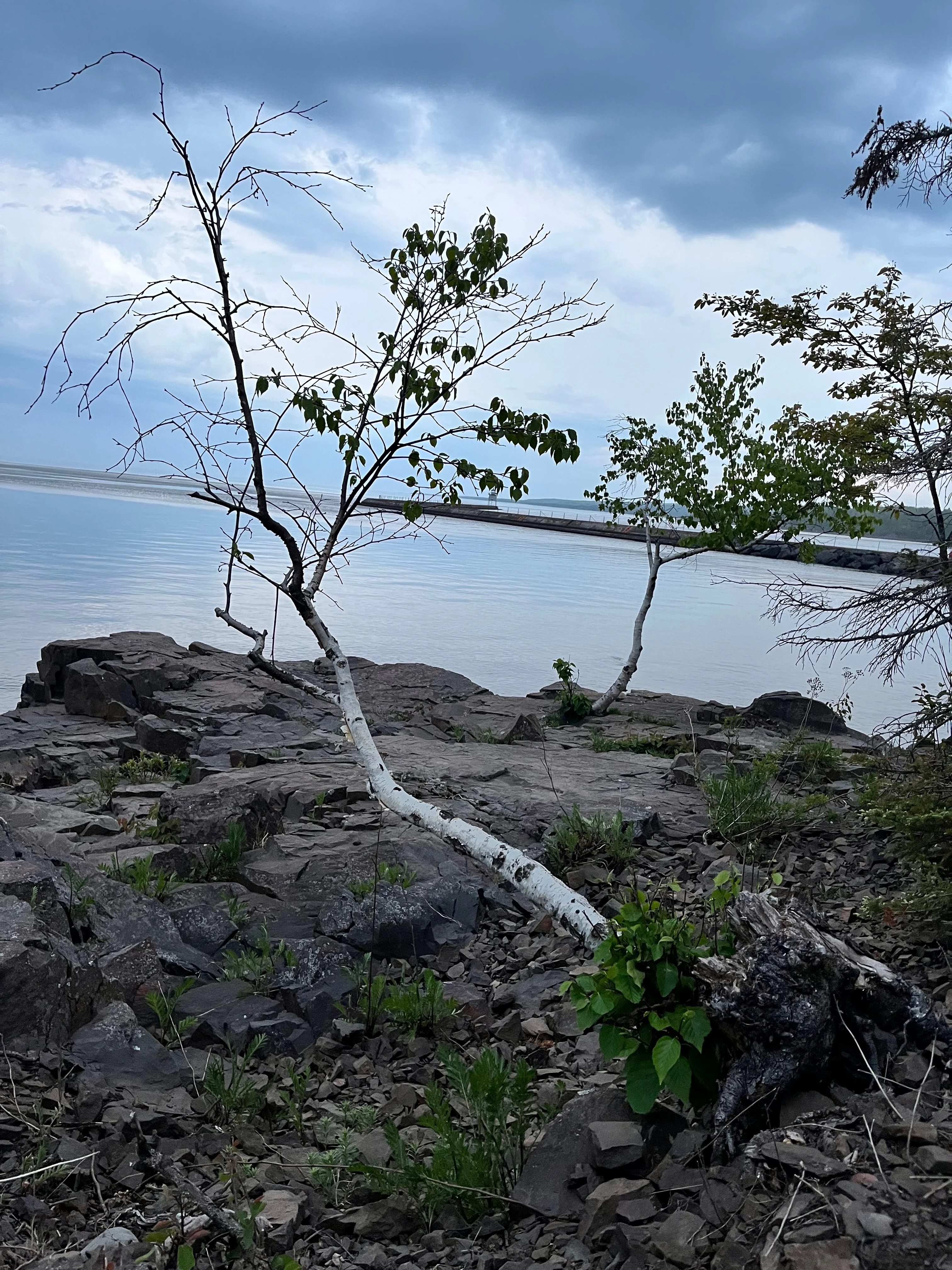 MNboyAdventures763 - Content Creator